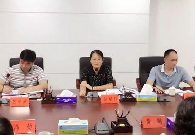 发挥岭南旅游优势，共筑封开旅游新篇章——岭南集团调研封开旅游开发项目